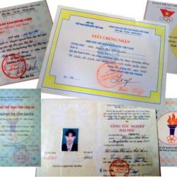 chứng chỉ học bơi