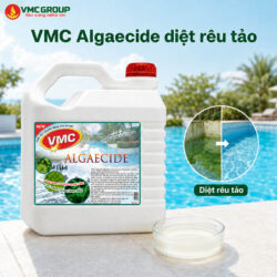 Hóa chất VMC Algaecide can 5l - Diệt rêu tảo hồ bơi