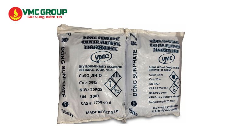 Đồng cục Việt Nam