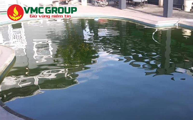 Tảo đen là nguyên nhân làm cho nước bể bơi có màu đen Tảo đen là nguyên nhân làm cho nước bể bơi có màu đen