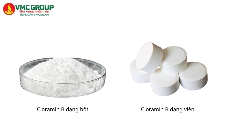 Cloramin B có dạng bột, dạng viên Cloramin B có dạng bột, dạng viên
