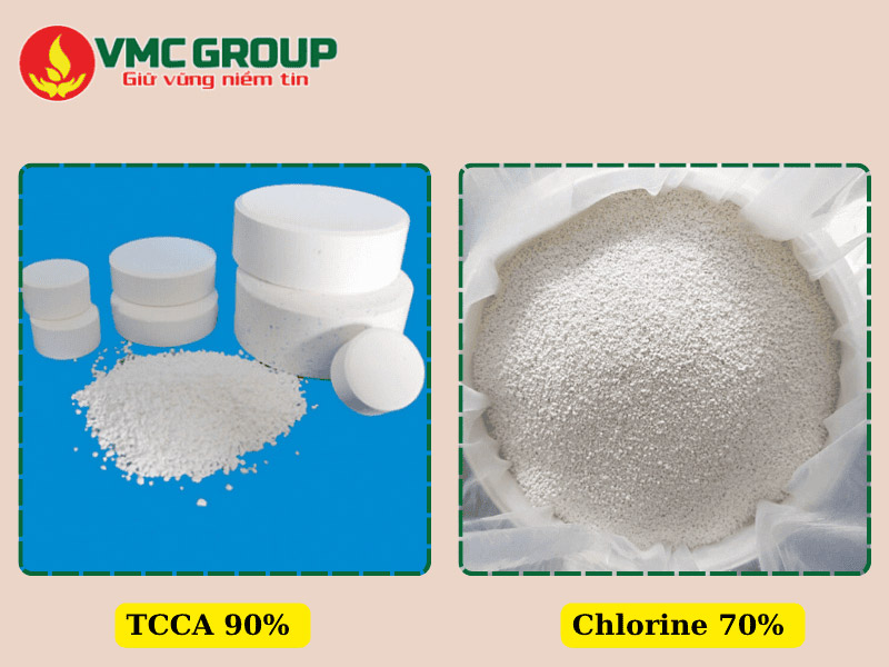 TCCA có dạng bột hoặc viên, Chlorine 70 có dạng bột TCCA có dạng bột hoặc viên, Chlorine 70 có dạng bột