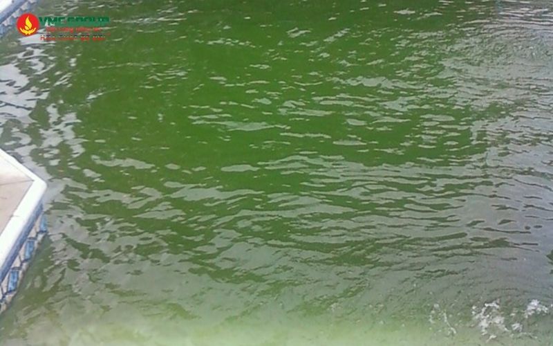 Nước bể bơi chuyển sang màu xanh sau khi thêm Clo là do trong nước có kim loại Đồng Nước bể bơi chuyển sang màu xanh sau khi thêm Clo là do trong nước có kim loại Đồng