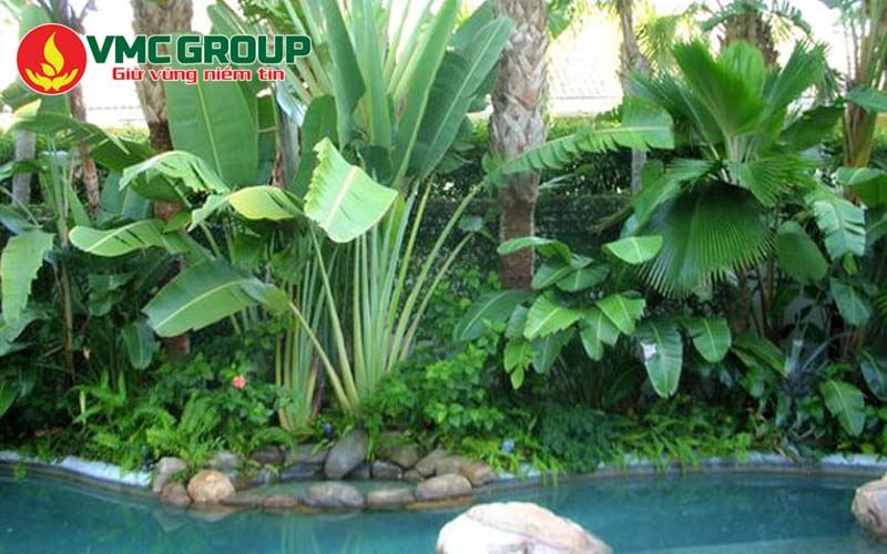 Cây bụi, cỏ sân vườn có thể chịu được nước bể bơi Cây bụi, cỏ sân vườn có thể chịu được nước bể bơi