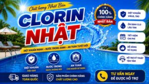 hoachatbeboi.vn;