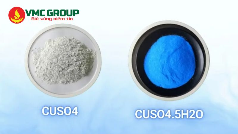 Đồng sunfat gồm dạng khan và dạng ngậm nước Đồng sunfat gồm dạng khan và dạng ngậm nước