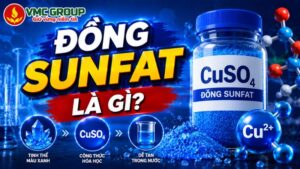 hoachatbeboi.vn;