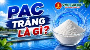 pac-trang-la-gi