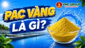 pac-vang-la-gi