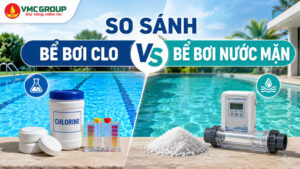 Bể bơi clo và bể bơi nước mặn