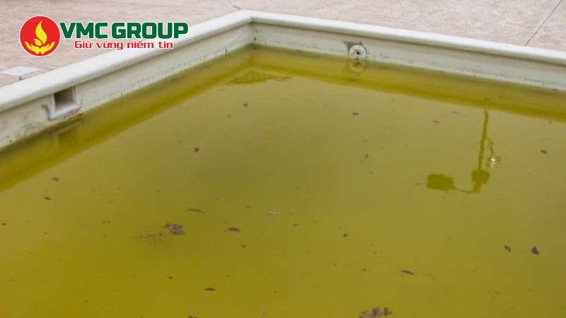 Nước bể bơi nhiễm sắt chuyển sang màu vàng đục Nước bể bơi nhiễm sắt chuyển sang màu vàng đục