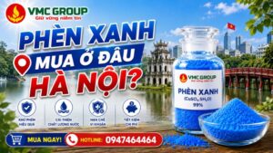 phen-xanh-mua-o-dau-ha-noi