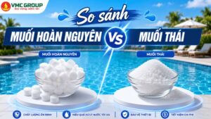 So sánh muối hoàn nguyên và muối thái