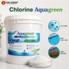 Hóa chất Chlorine Aquagreen Ấn Độ 70% thùng 45kg