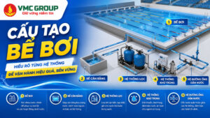 Cấu tạo bể bơi