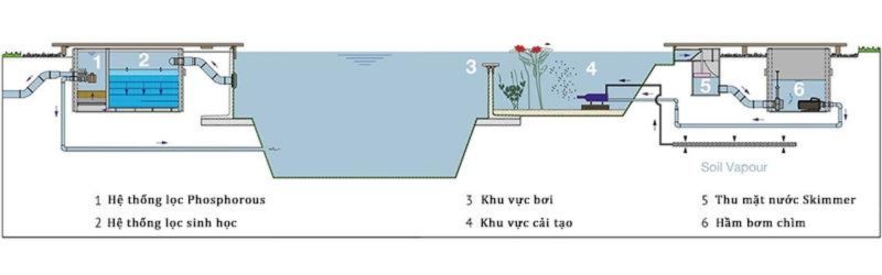 Cấu tạo hồ bơi sinh thái