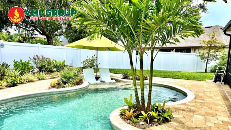 Cây cọ trơn trồng hồ bơi Cây cọ trơn trồng hồ bơi