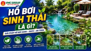 ho-boi-sinh-thai-la-gi