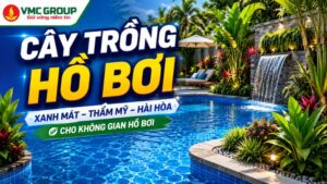 nen-chon-cay-trong-ho-boi-nao