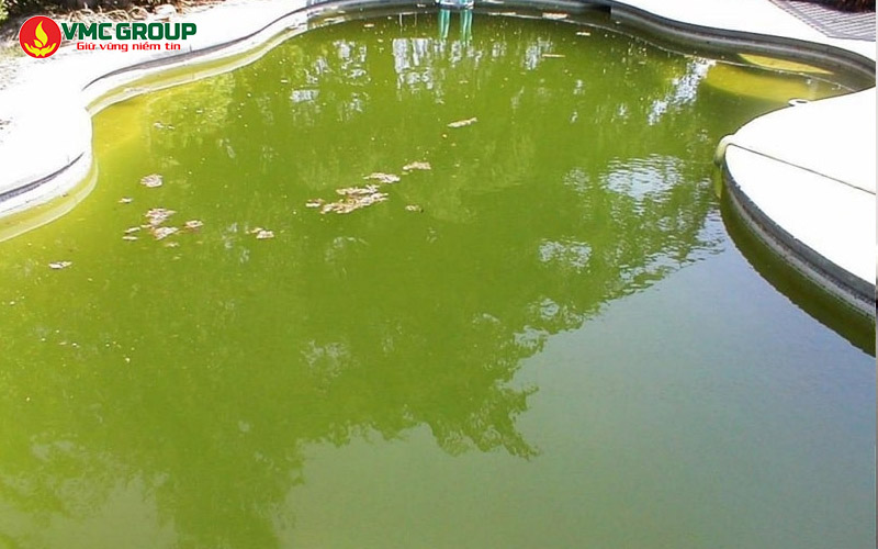 TSS làm giảm chất lượng nước