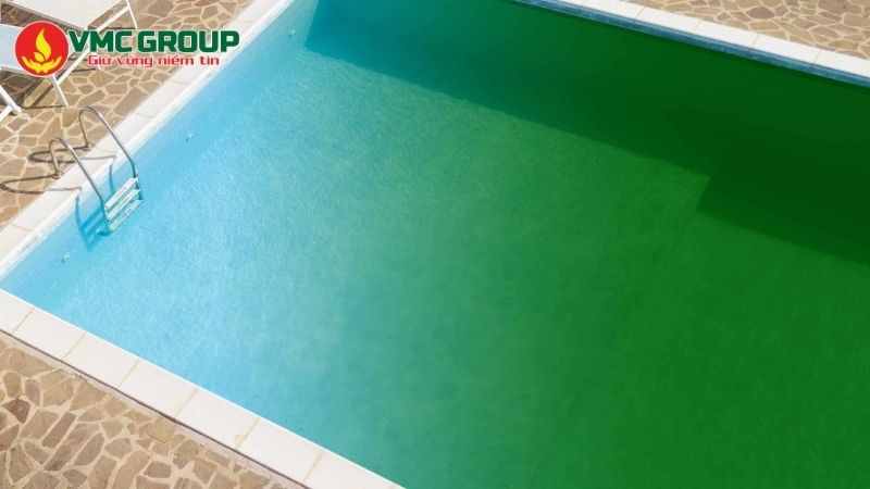 Bể bơi nước mặn bị xanh do tảo xuất hiện Bể bơi nước mặn bị xanh do tảo xuất hiện