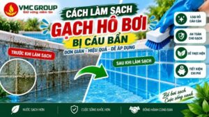 cach-lam-sach-gach-ho-boi-bi-cau-ban