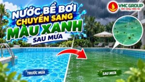 nuoc-be-boi-chuyen-sang-mau-xanh-sau-mua
