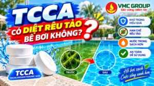 tcca-co-diet-reu-tao-be-boi-khong