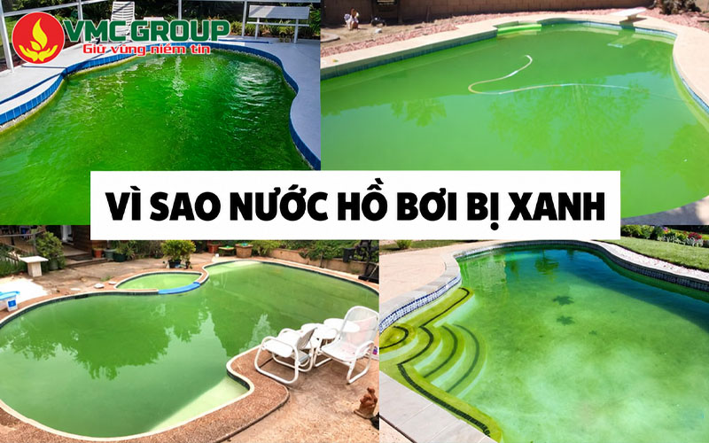 Vì sao nước hồ bơi bị xanh?