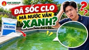 da-soc-clo-ma-nuoc-van-xanh